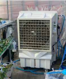 京都府いちご農園 地下水エアコン